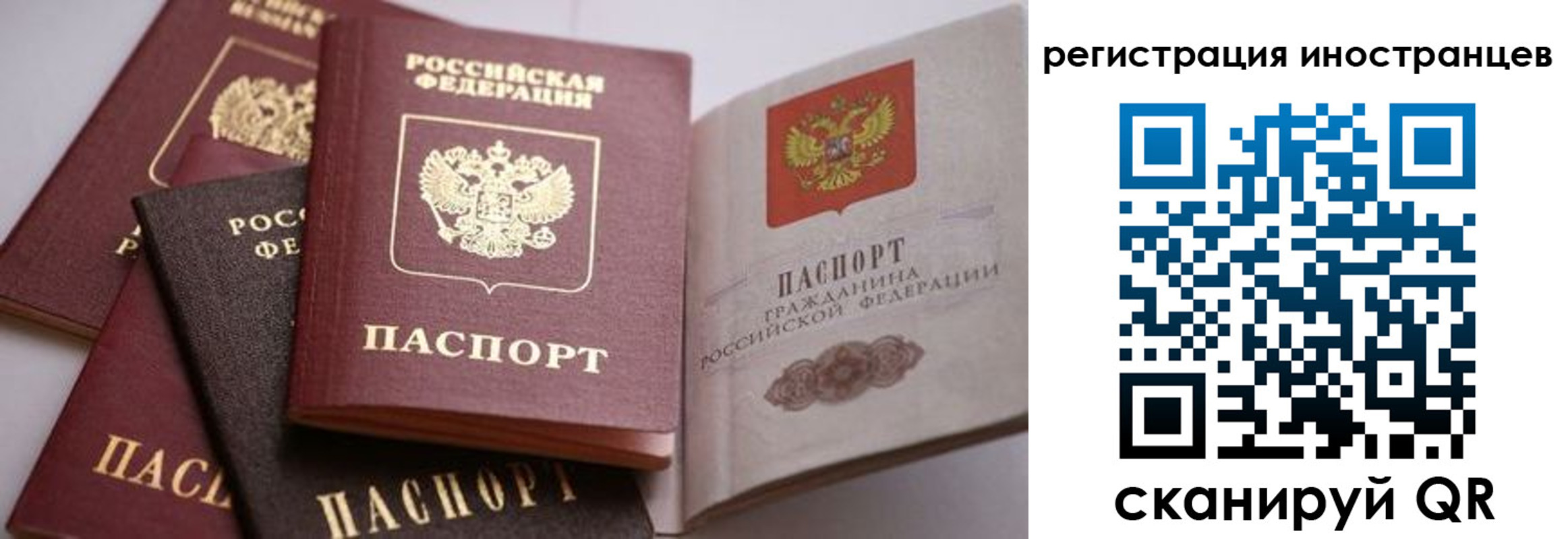 прописка штамп в Плавске